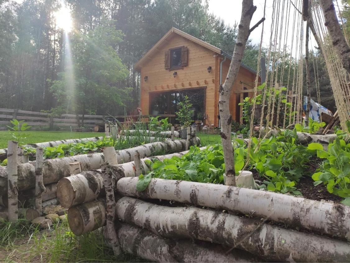 Przystan Zakapiora Villa Muchocin Buitenkant foto
